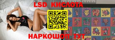 амф Заволжье